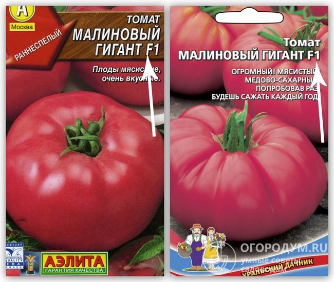 Томат "малиновый великан": описание сорта, рекомендации по выращиванию, фотографии помидор русский фермер