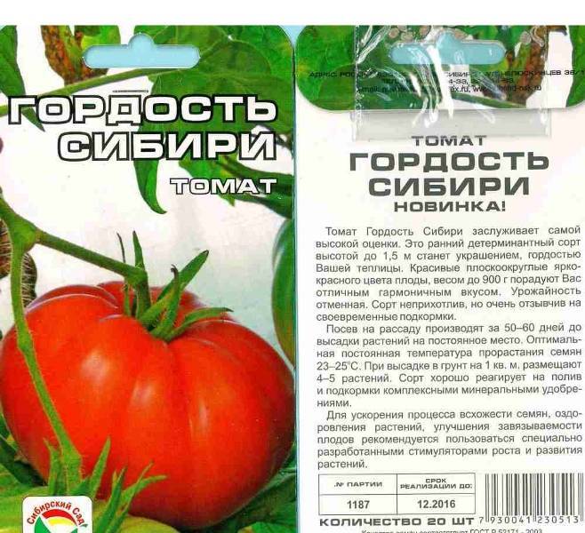 Томат «сибирский гигант»: характеристика и описание сорта, урожайность, посадка и уход, фото