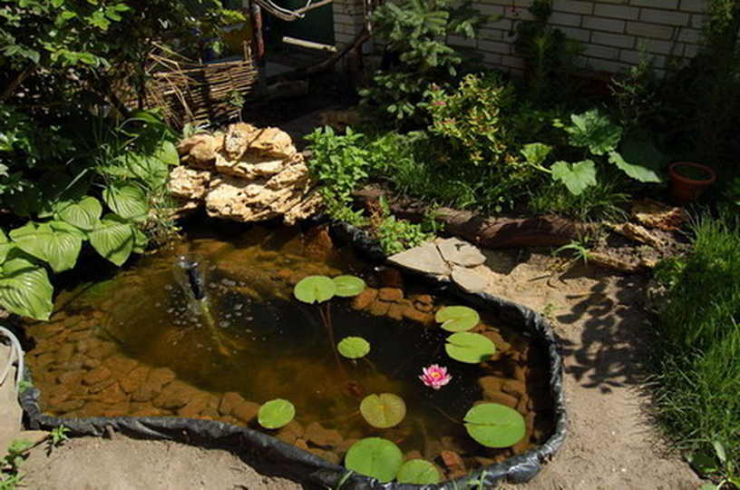 Пруд на даче своими руками (70 фото): ландшафтный дизайн искусственного водоема на участке в саду