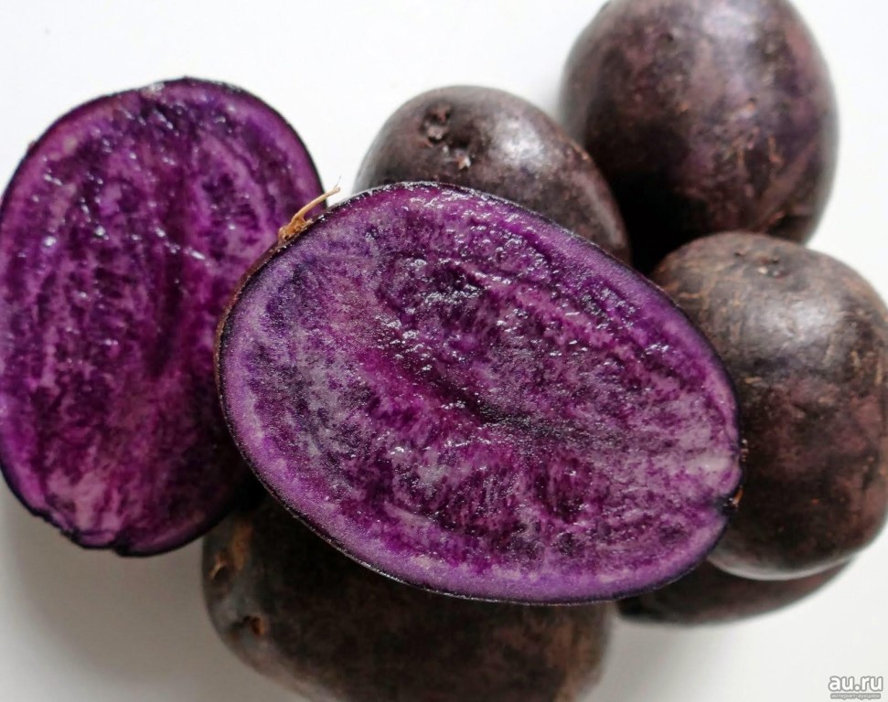 Фиолетовый картофель: полезные свойства