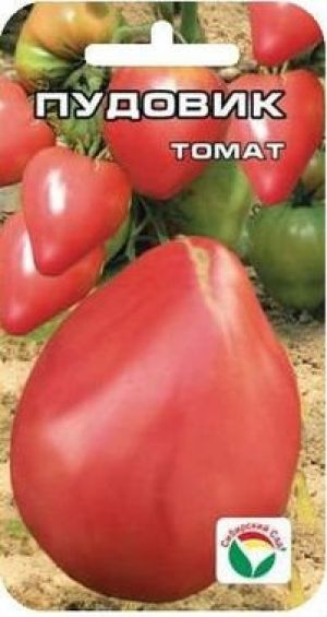Томат “севрюга”: востребованный сорт среди овощеводов
