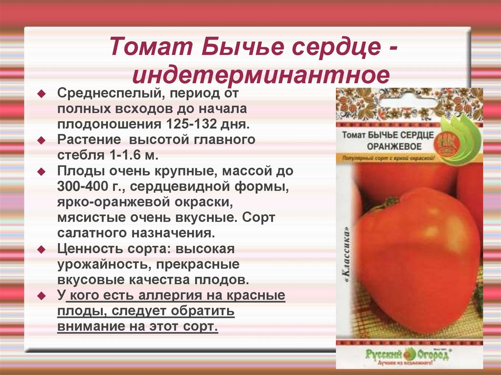Представитель крупноплодных, выносливых томатов — описание сорта княгиня