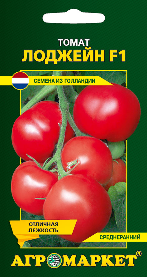 Характеристика томата сорта Лоджейн и правила выращивания