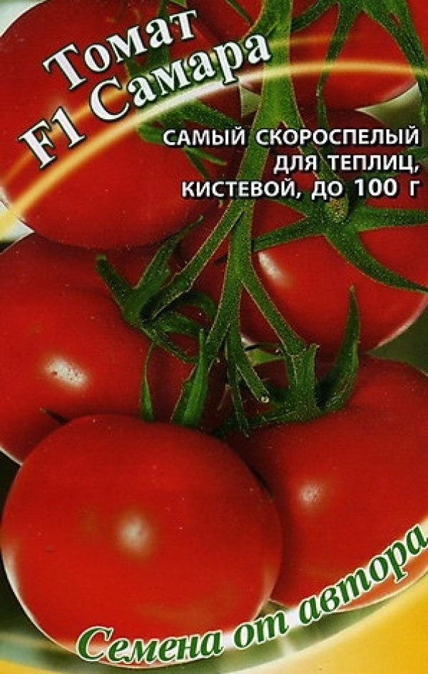 Описание лучших сортов томатов для Самарской области