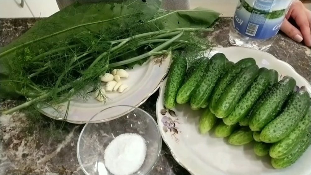 Малосольные огурцы с чесноком и зеленью быстрого приготовления: 9 классических рецептов хрустящих огурцов