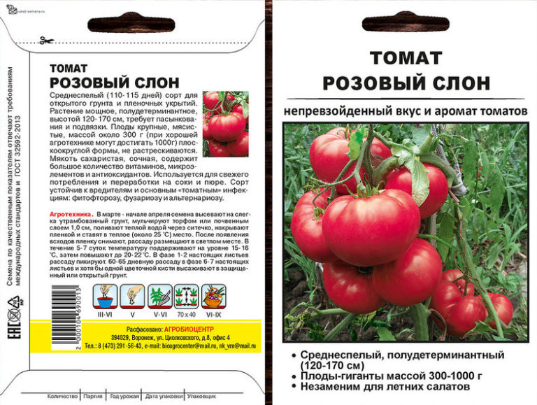 Характеристика и описание томата сорта малиновый гигант, выращивание и уход