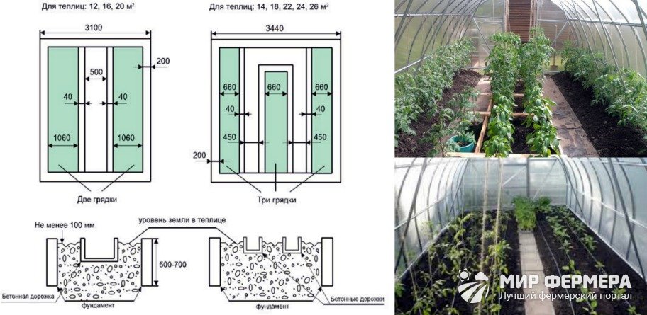 Схема посадки томатов в теплице - на каком расстоянии сажать помидоры в теплице для богатого урожая. | красивый дом и сад