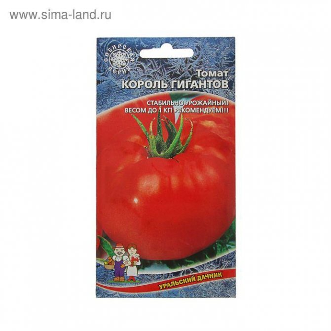 Среднеранние сорта томатов: алфавитный перечень помидор с рекомендациями по выращиванию в открытом грунте и теплицам русский фермер