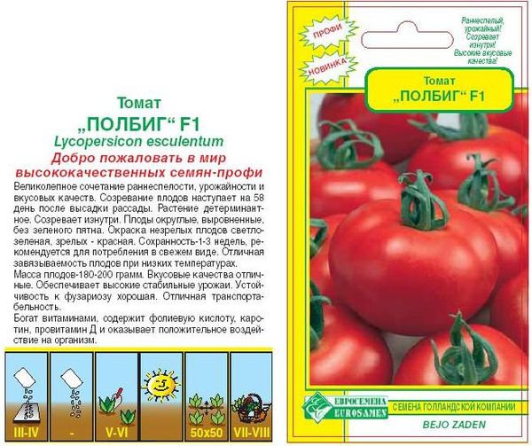 Томат полбиг: отзывы, фото, урожайность, описание и характеристика | tomatland.ru