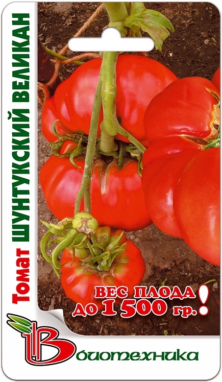 Действительно вкусные плоды — томат испанский гигант: описание сорта и его характеристики
