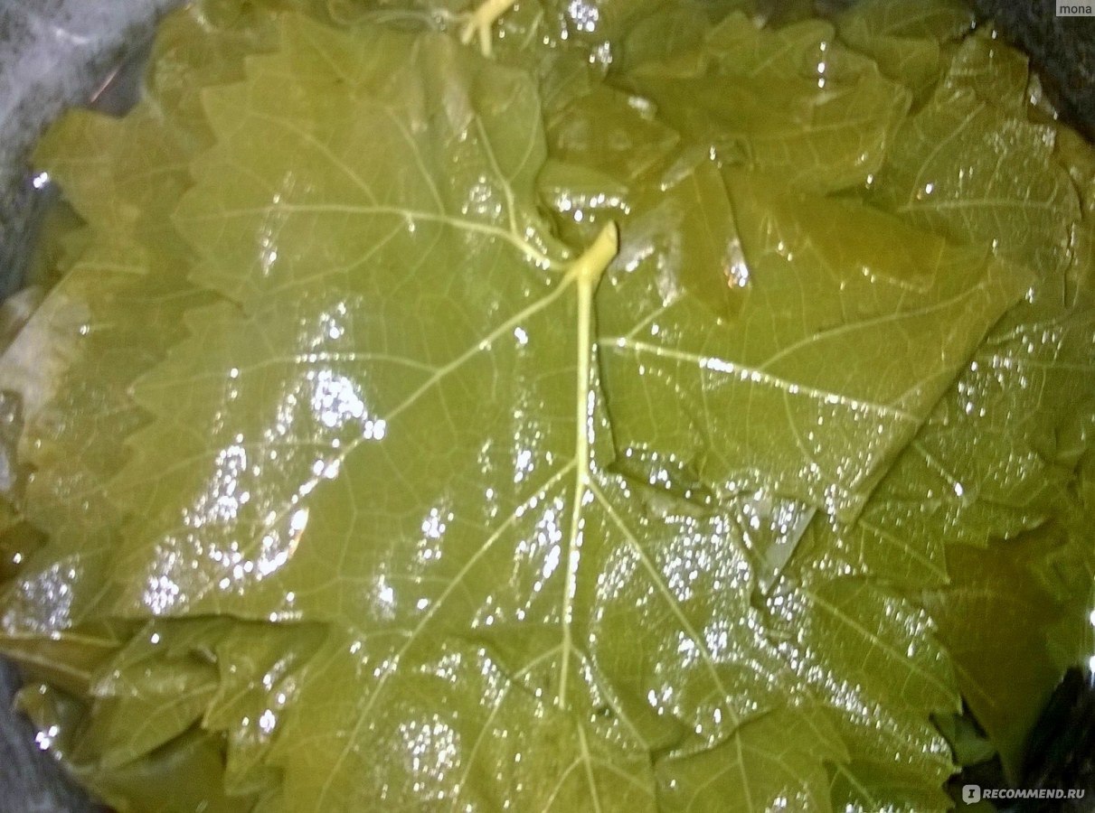 Виноградные листья для долмы на зиму как заготовить пошаговый рецепт с фото