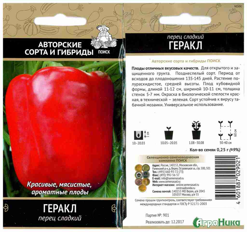 Перец геракл: описание и особенности выращивания