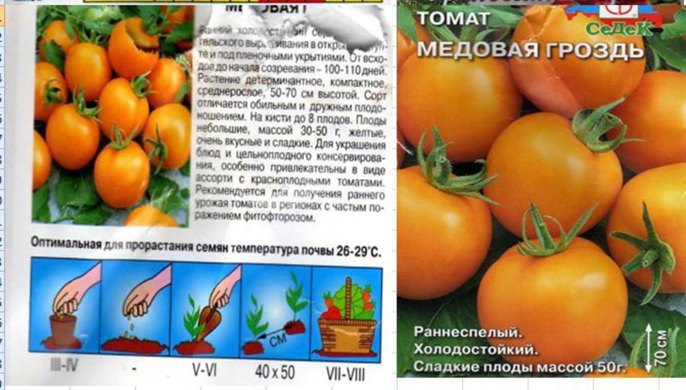 Описание томата Медовая гроздь, преимущества сорта и техника выращивания