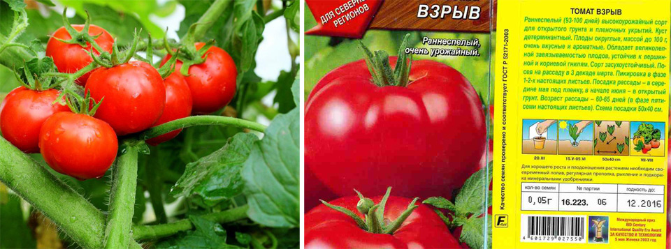 Лучшие сорта помидоров для открытого грунта Башкирии с описанием