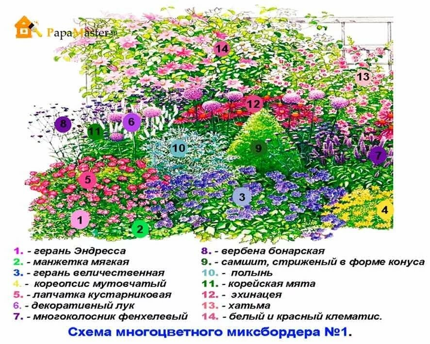 Клумбы непрерывного цветения: особенности, правила создания и подбор растений