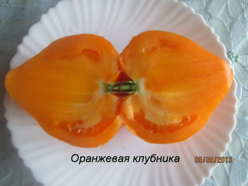 Томат оранжевая клубника: характеристика и описание сорта, отзывы, фото, кто сажал