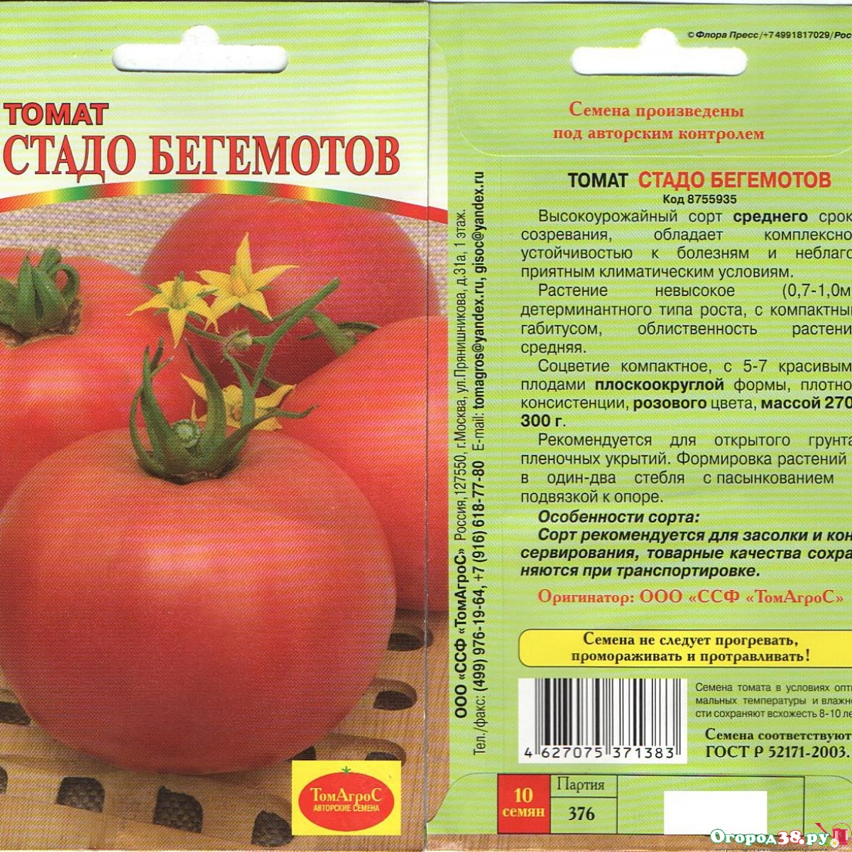 Описание среднеспелого томата Рокер и правила выращивания сорта рассадным методом