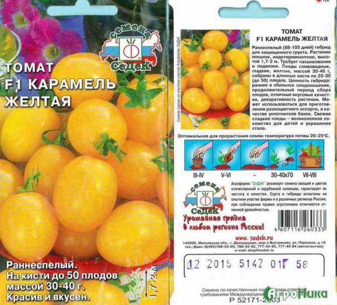 Описание сладкого томата Леденец и особенности выращивания сорта