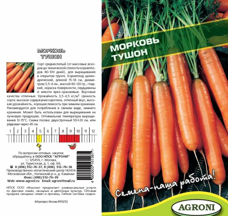 Сорта (семена) моркови для сибири: для открытого грунта, для зимнего хранения, урожайные, скороспелые, отзывы