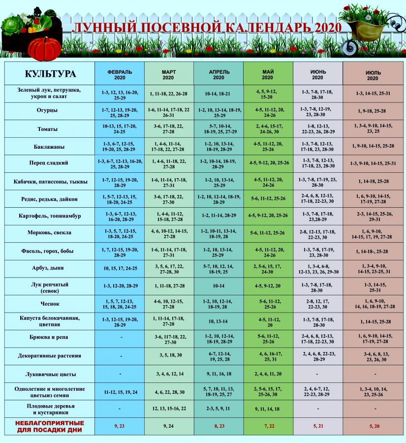 Благоприятные дни для посадки огурцов в 2020 году в открытый грунт по лунному календарю - сад и огород
