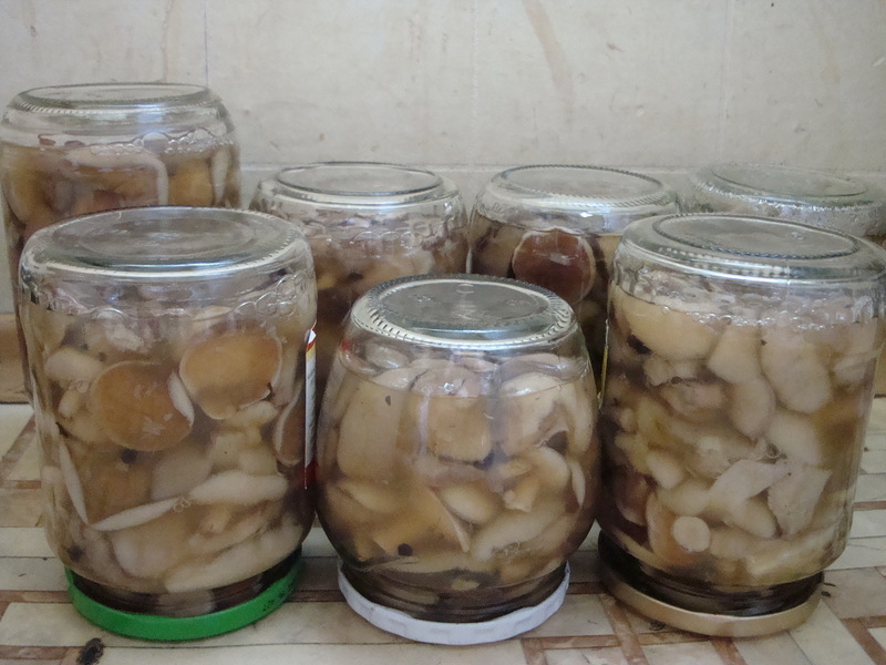 12 пошаговых рецептов приготовления маринованных белых грибов на зиму в банках - всё про сады