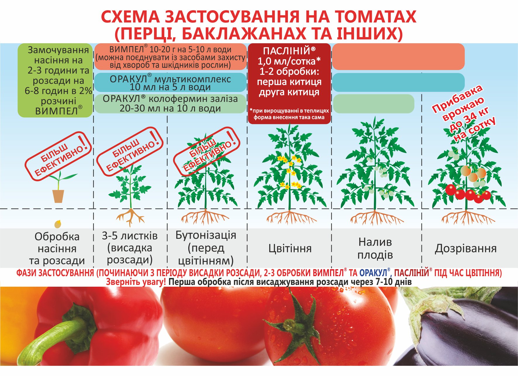Подкормка рассады томатов: ее виды и особенности для дома