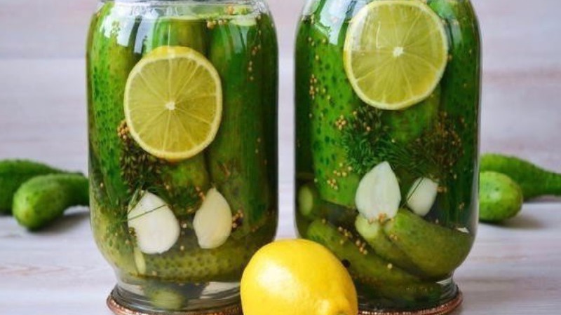 Огурцы на зиму: рецепты с лимонной кислотой, советы по консервации и хранению заготовок