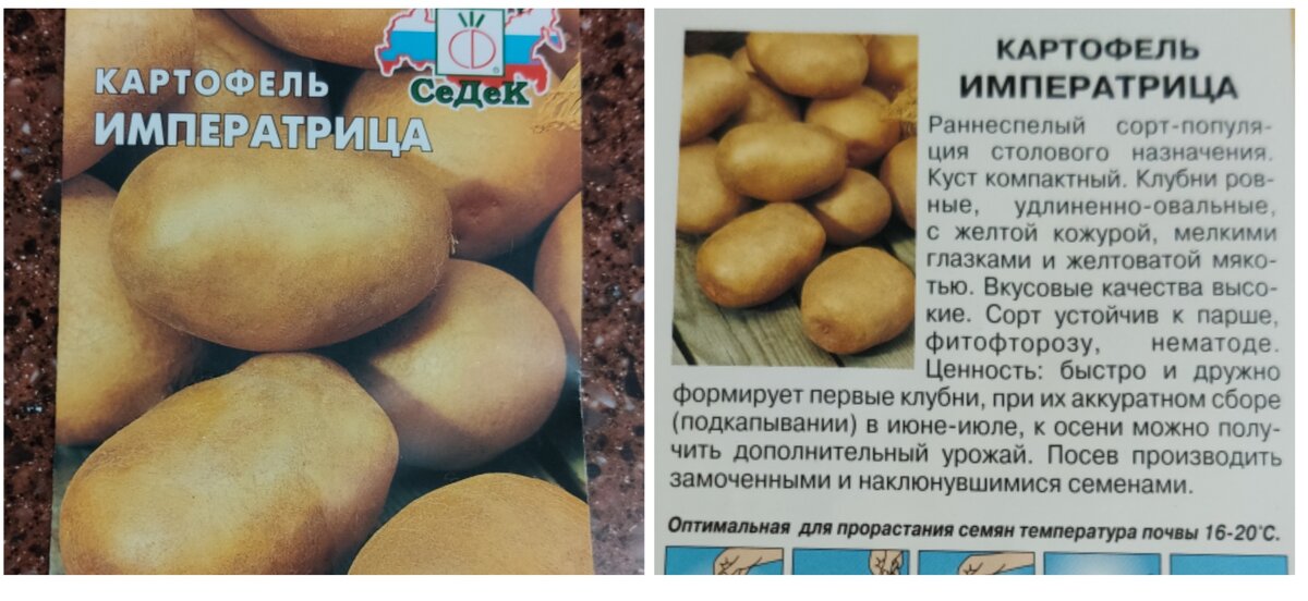 Сорт картофеля удача: описание и характеристика корнеплода, фото и отзывы фермеров, лучшие способы посадки и места для выращивания русский фермер