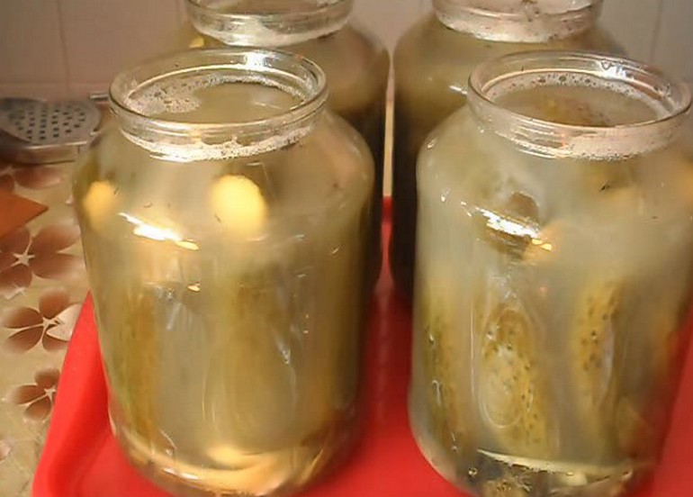 Рецепты маринованных огурцов в горчичном соусе (заливке) на зиму и сроки хранения заготовок