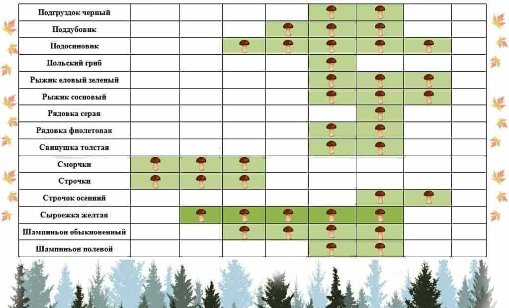 В какое время года можно. График сбора грибов по месяцам. Таблица сбора грибов по месяцам. Таблица сбора грибов в Подмосковье. Таблица роста грибов в Ленинградской области.