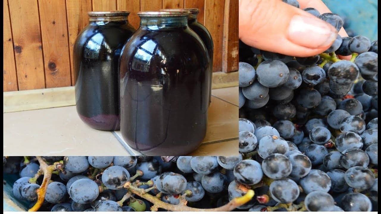 Приготовления виноградного сока