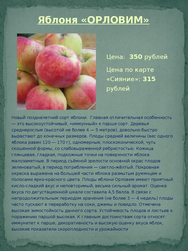 Описание и характеристики сорта яблони Орловим, нюансы выращивания