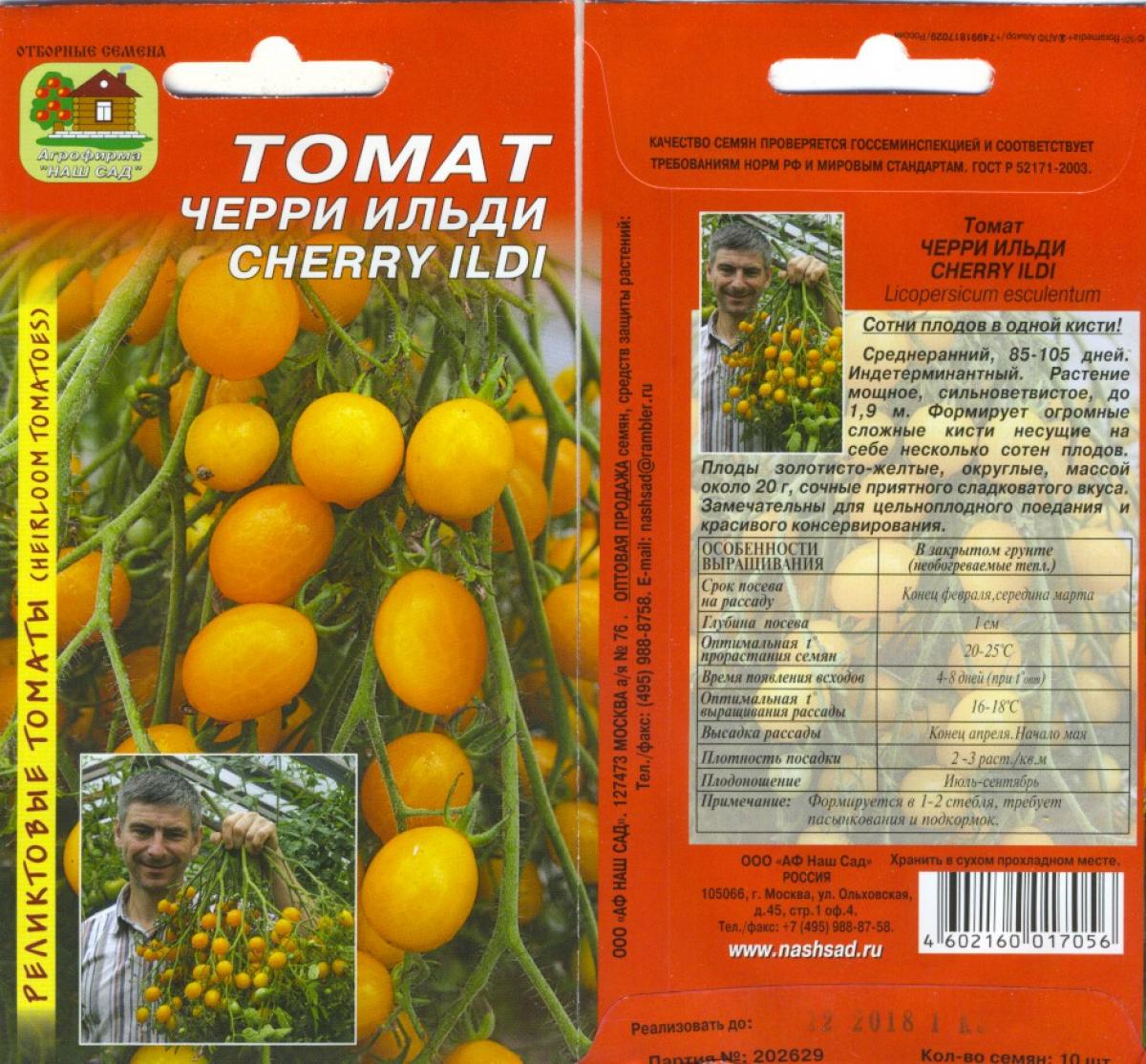 Описание томата Ильди и рекомендации по выращиванию растения