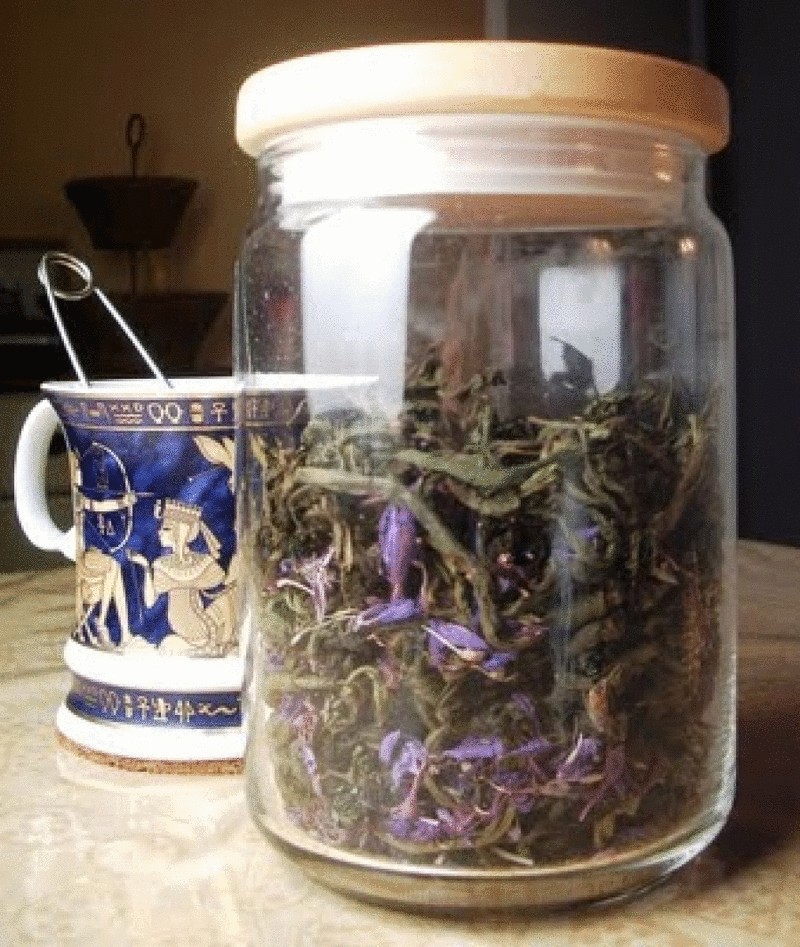 Как правильно сушить мяту для чая в домашних условиях: рекомендации