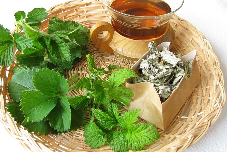 Чем полезен чай с листьями смородины?
