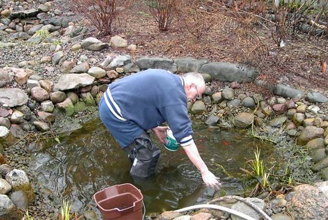 Очистка водоемов — как очистить любой водоем своими руками. 80 фото самых простых и эффективных решений