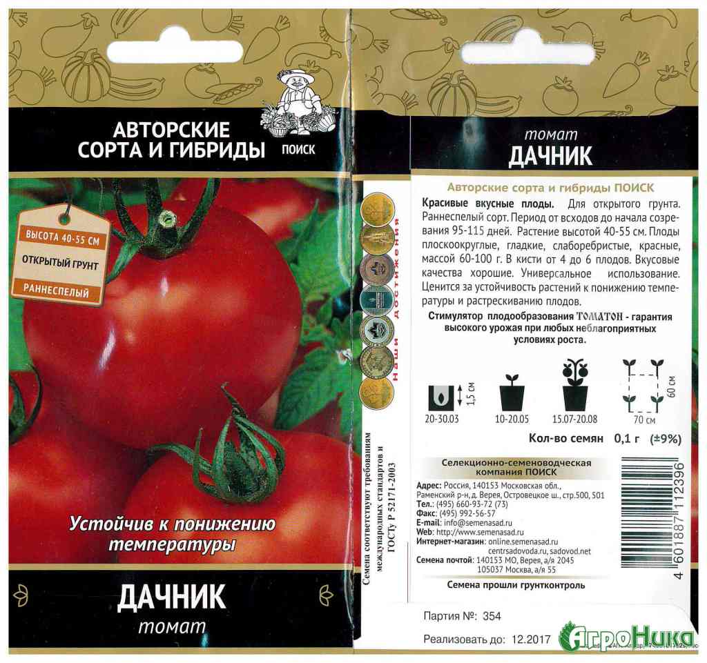 Описание сорта томата Дачник, его характеристика и выращивание