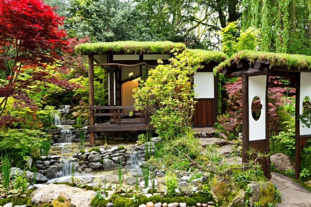 Японский сад – принципы и правила создания стиля