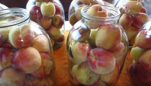ТОП 5 рецептов компота из яблок и винограда на зиму со стерилизацией и без в кастрюле