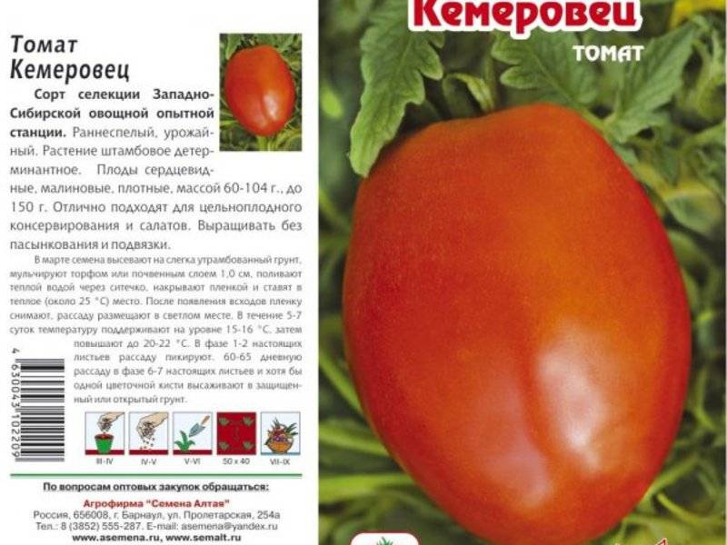 Описание и характеристики урожайного и вкусного гибрида — сорт томата «президент» f1