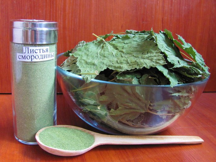 Польза чая из листьев смородины, показания к применению