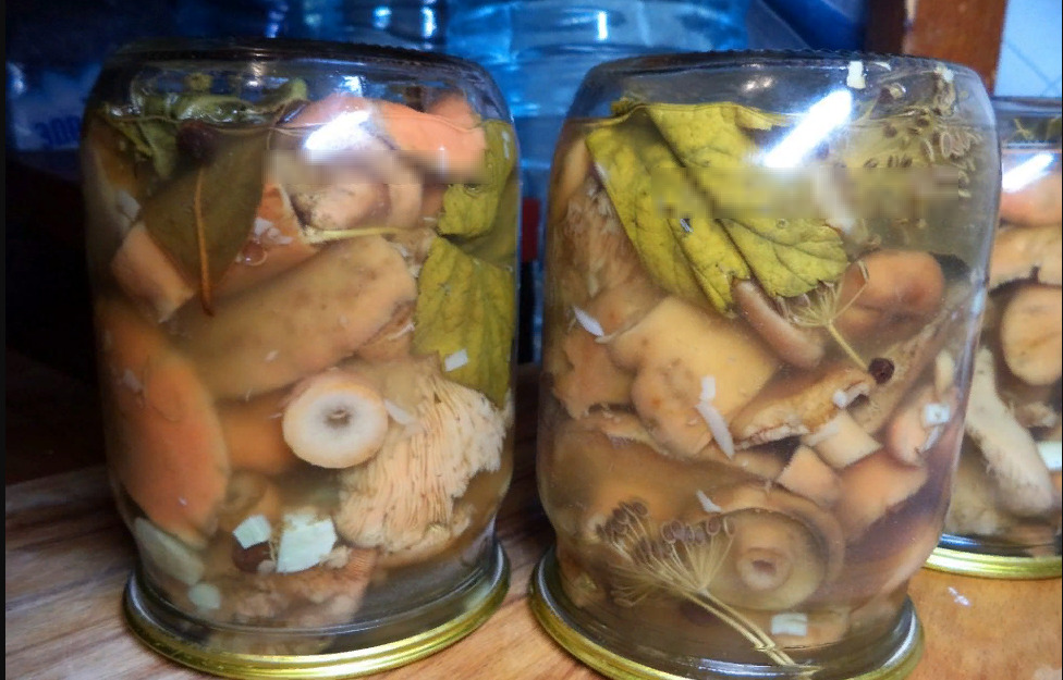 Как солить белые грибы на зиму в банках: простые рецепты с фото