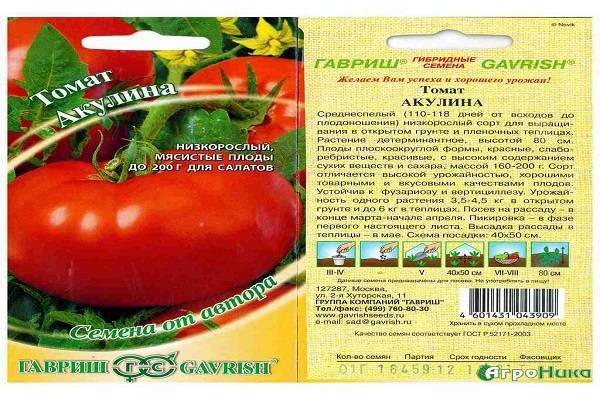 Помидоры «яблонька россии»: описание самого неприхотливого сорта с высокой урожайностью