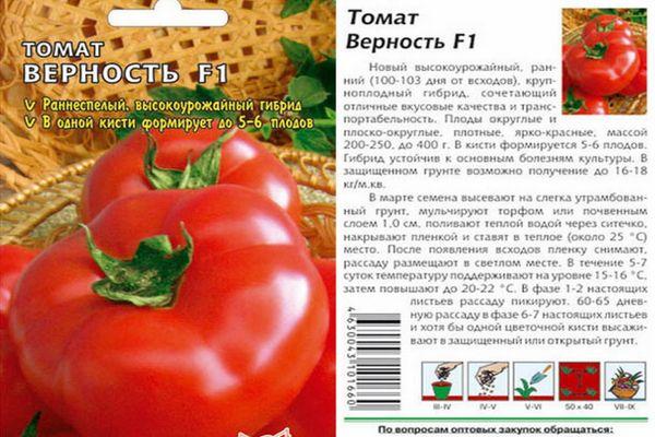 Томат надежда: описание сорта, рекомендации по уходу русский фермер