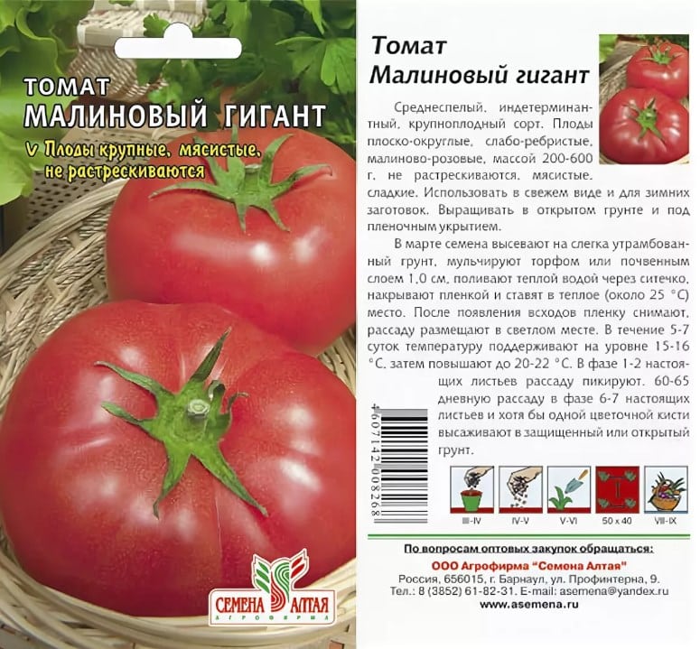 Описание высокоурожайного сорта томата сеньор помидор и правила выращивания