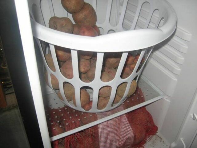 Как хранить картошку в гараже в погребе и без него: температура для лучшей лежкости овоща зимой, а также инструкция по закладке