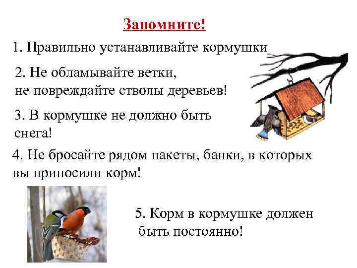 Кормушка своими руками - изготовление скворечника и кормушки для птиц (105 фото)