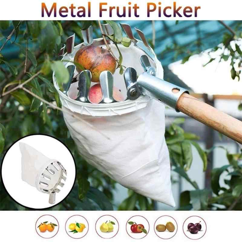 Приспособление для снятия яблок с дерева: 2 варианта плодосъемников своими руками