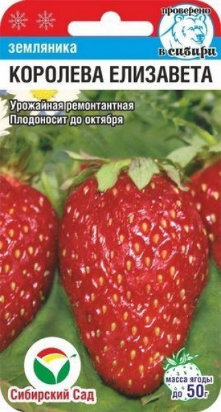 Клубника Королева Елизавета и Королева Елизавета II