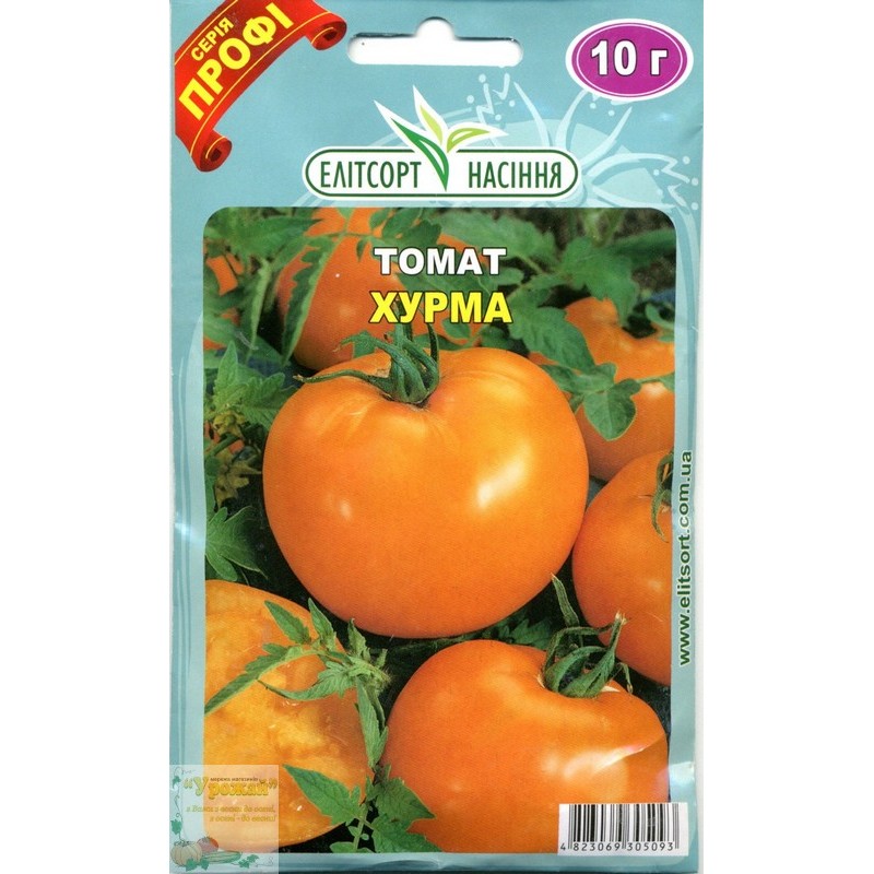 Томат хурма: описание и характеристика сорта, особенности выращивания помидоров, пасынкования, отзывы, фото